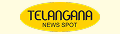 Telangana News Spot logo